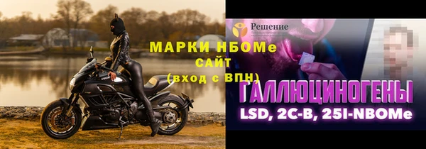 сатива Аркадак