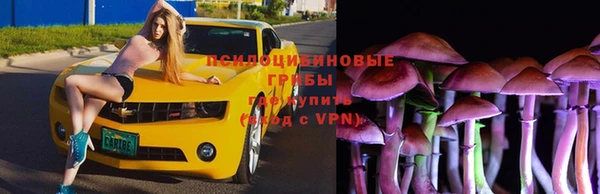 каннабис Арсеньев