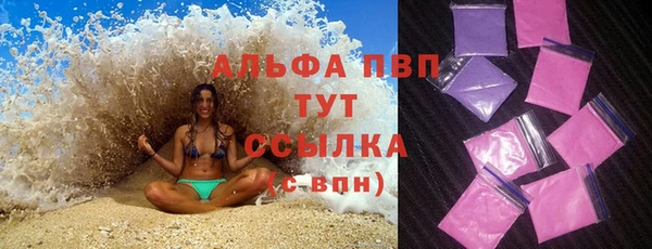 хмурый Белокуриха