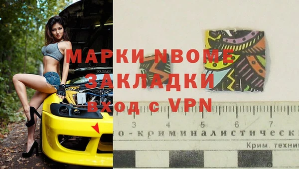 хмурый Белокуриха