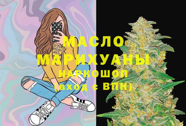 дживик Инта