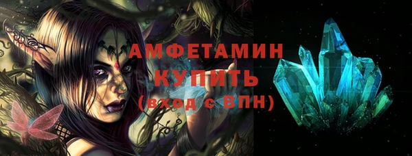 сатива Аркадак