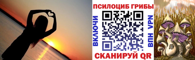 Псилоцибиновые грибы прущие грибы  как найти   OMG сайт  Спас-Деменск 